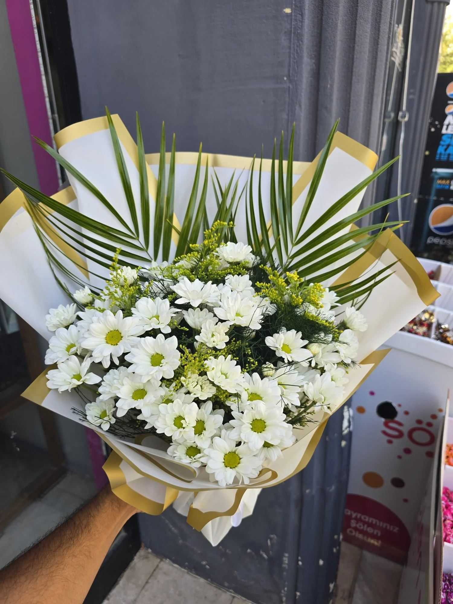 Karaköprü Papatya Siparişi